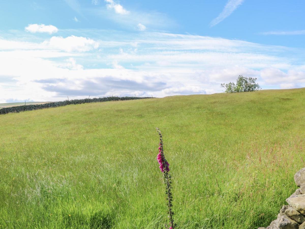 Shepherd'S Cottage Newbiggin  Екстер'єр фото